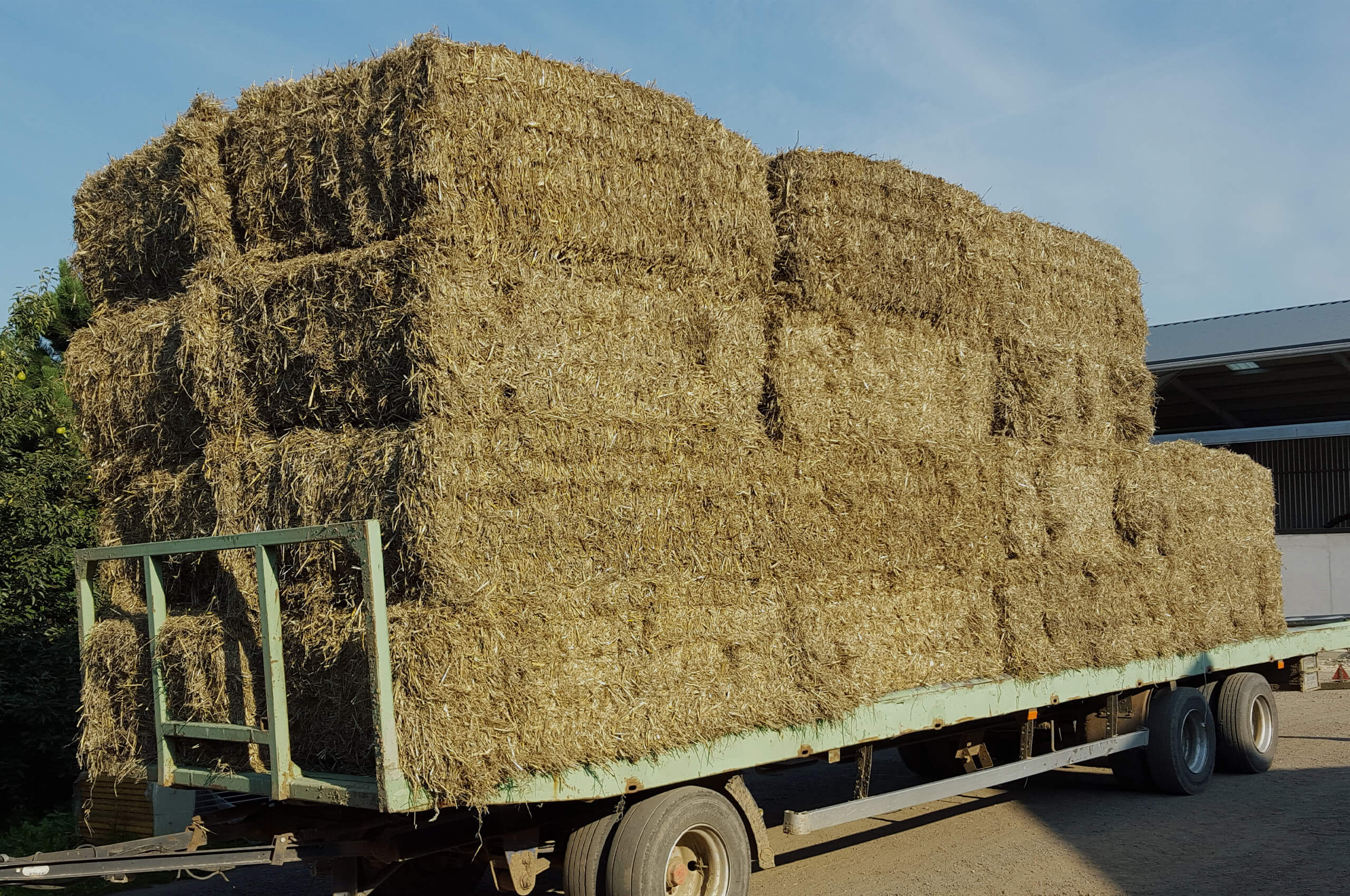 many hay bales 